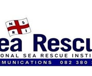 Loggerhead Turtle rescue